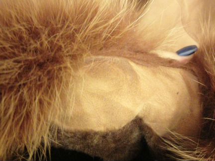 Дублёнки женская 46