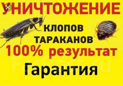 Уничтожение Тараканов, Клопов, Дезинфекция квартир