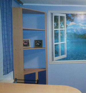 Шкаф угловой (пенал)